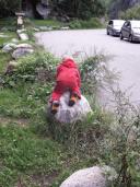 Klik za večjo sliko